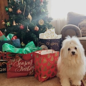 Meet your Posher, D reine